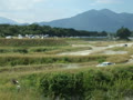 Adulte:2010年JAF関東ダートトライアル選手権第10戦　S3クラス川村選手の第１ヒートの走行動画